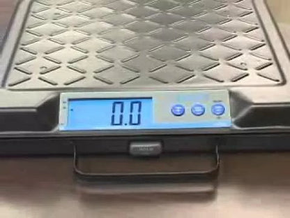 Salter Brecknell Electronic Digital Bench Scale