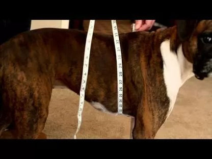 PetSafe® Easy Walk® Harness