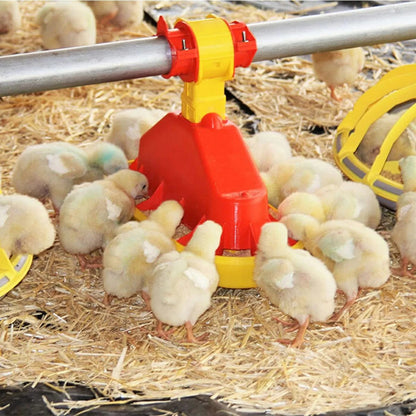 TurboMate 2® Chick Feeder - Short Version