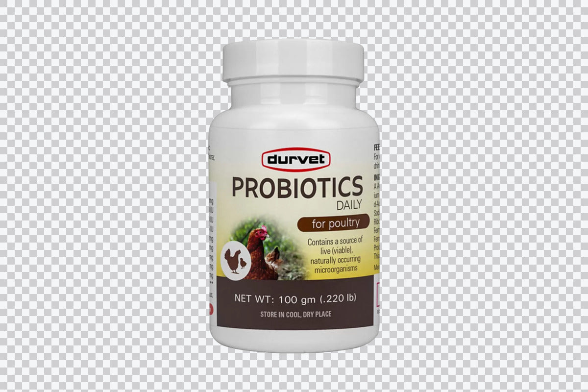 Durvet Probiotics Daily for Poultry - 100 Gm.