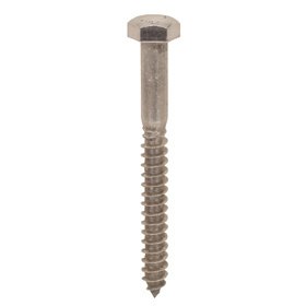 Stainless Steel Lag Screws  1/4"