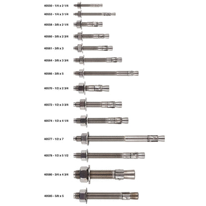 WedgeType Expansion Stainless Steel Anchor Bolts