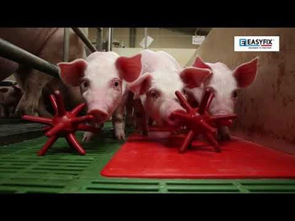 EasyFix® Luna Pig Enrichment Floor Toys