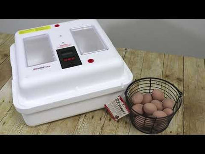 Little Giant Deluxe Incubator with Egg Turner