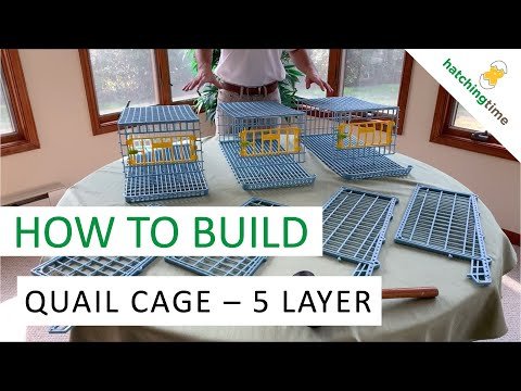 Hatchingtime Quail Cage - 5 Layer