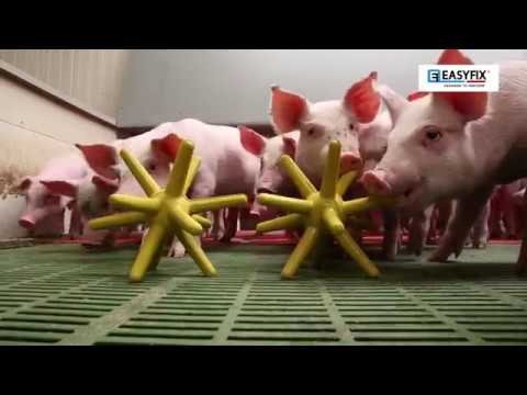 EasyFix® Luna Pig Enrichment Floor Toys