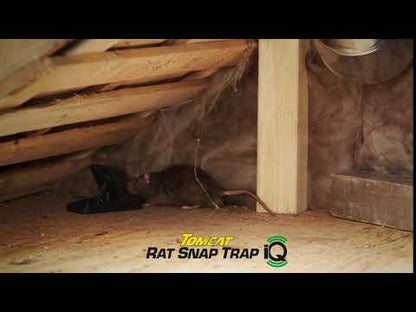 Motomco Tomcat® Rat Snap iQ™ Trap