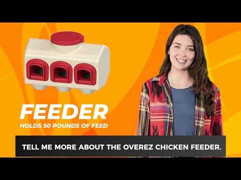 OverEZ Chicken Coop Chicken Feeder