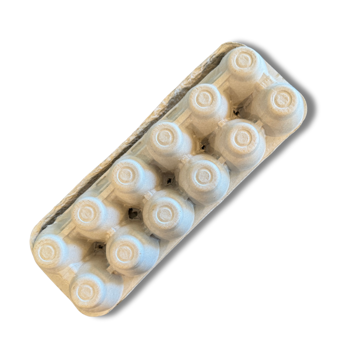 QC Supply 12-Egg Cartons (25-Pack)