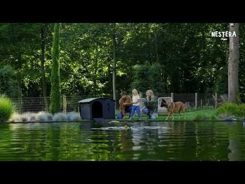 Nestera Duck House - QC Supply - 