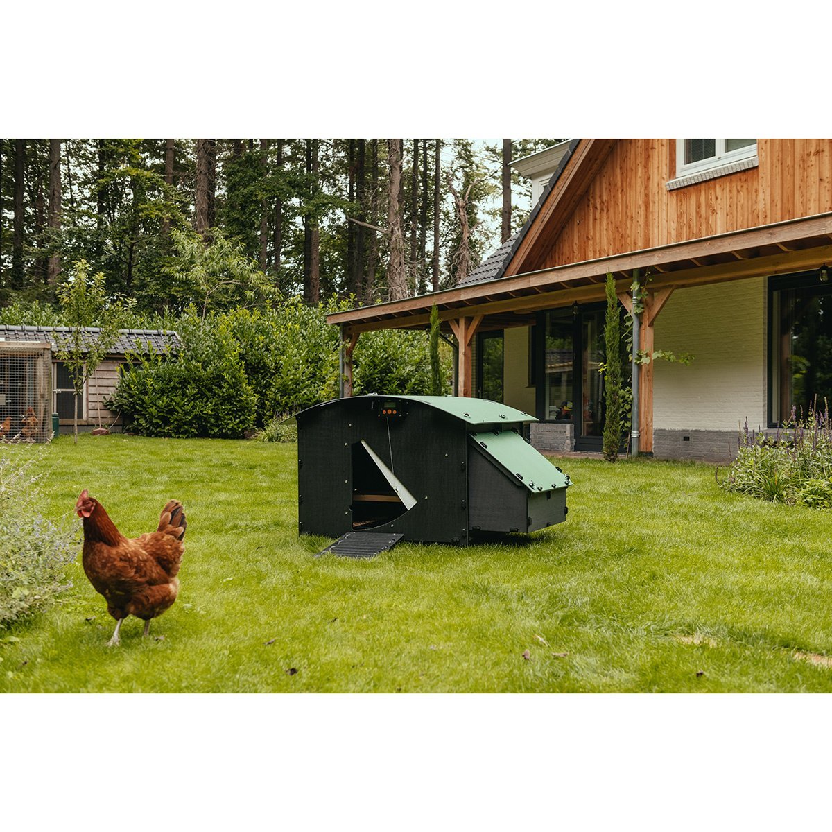 Nestra Large Ground Chicken Coop - QC Supply - 