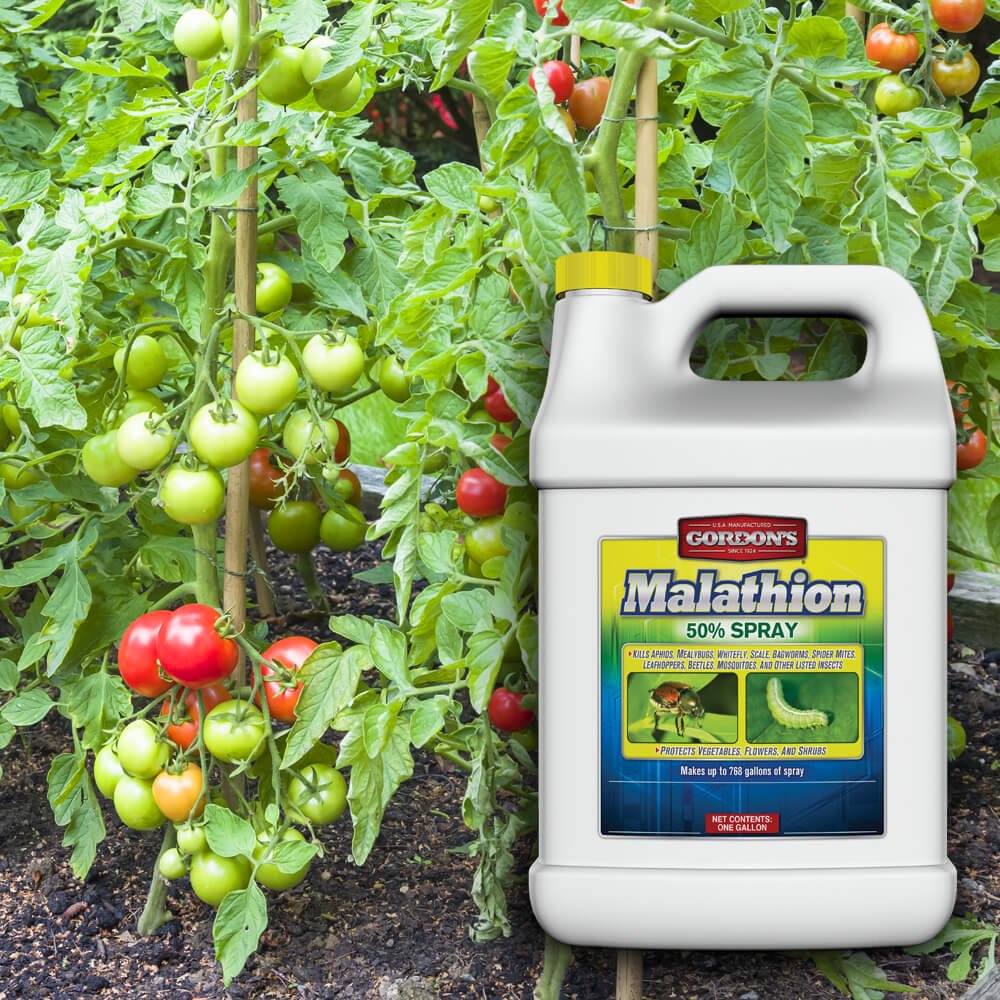 Gordon's® Malathion 50% Spray - 1 gal.